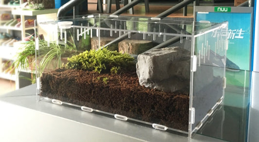 Reptile Breeding Box with Thermometer/Hygrometer