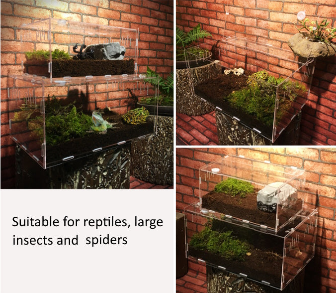 Reptile Breeding Box with Thermometer/Hygrometer