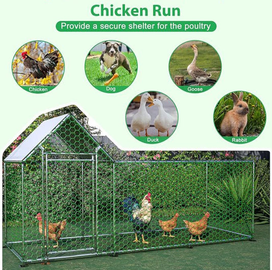 Chicken Run Galvanised Steel