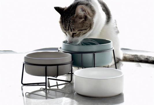 Pet Bowl Ceramic Elevated (Metal Base)