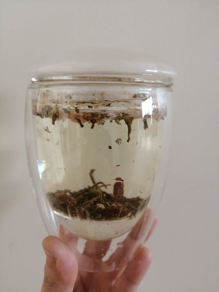 Double Wall Glass with Tea Filter