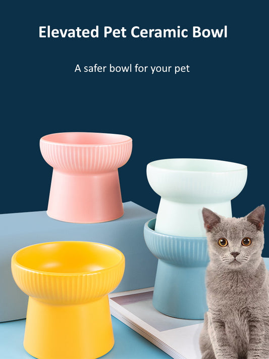Pet Bowl Elevated Ceramic