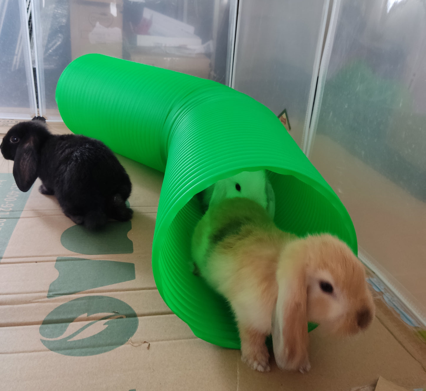 Stretchable Pet Tunnel