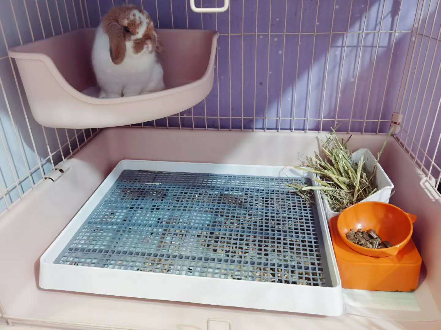 Litter Tray for Pet with Removable Mesh