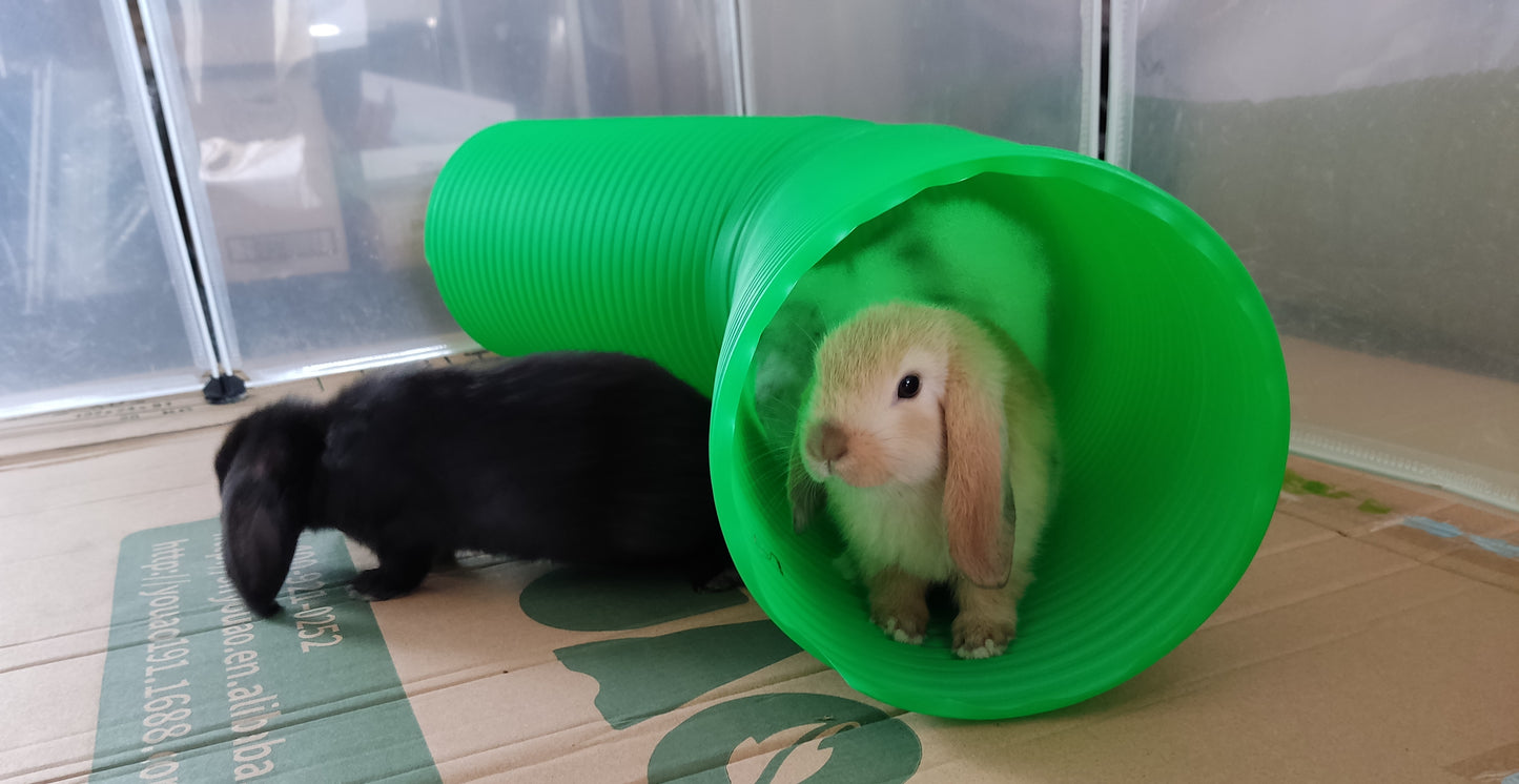 Stretchable Pet Tunnel